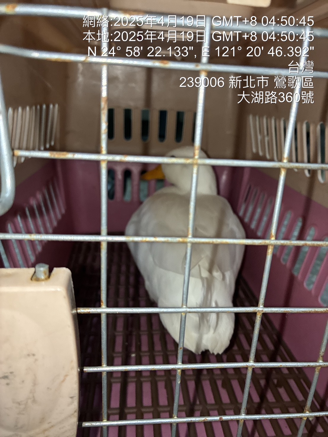 本處2025042201-1